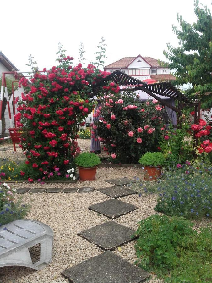 Hotel Casa Ellamy Două Mai Zewnętrze zdjęcie